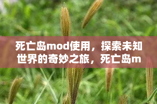 探索未知世界的奇妙之旅图片