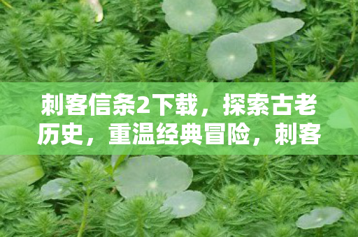 重温经典冒险下载图片