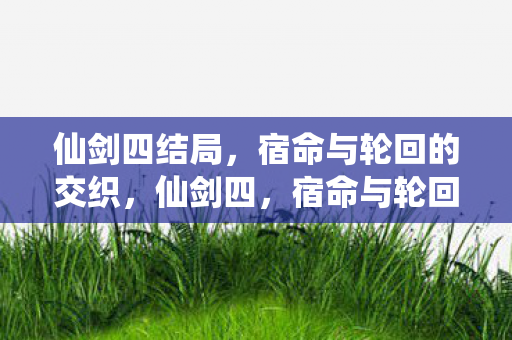 宿命与轮回的交织图片