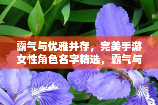 完美手游女性角色名字精选图片