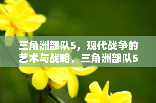 现代战争的艺术与战略图片