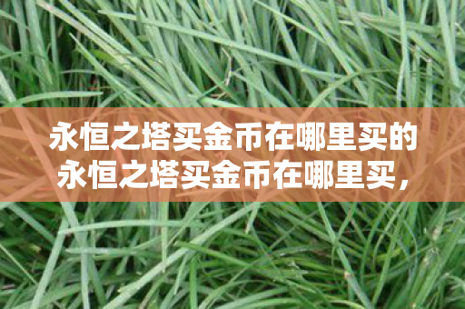 永恒之塔买金币在哪里买的永恒之塔买金币在哪里买图片