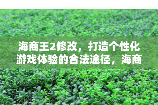 海商王2修改,打造个性化游戏体验的合法途径,海商王2修改,打造个性化游戏体验的合法途径 海商王2修改,打造个性化游戏体验的合法途径,海商王2修改,打造个性化游戏体验的合法途径