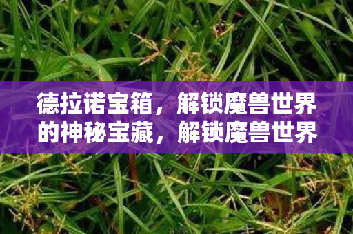 德拉诺宝箱，解锁魔兽世界的神秘宝藏，解锁魔兽世界的神秘宝藏，德拉诺宝箱