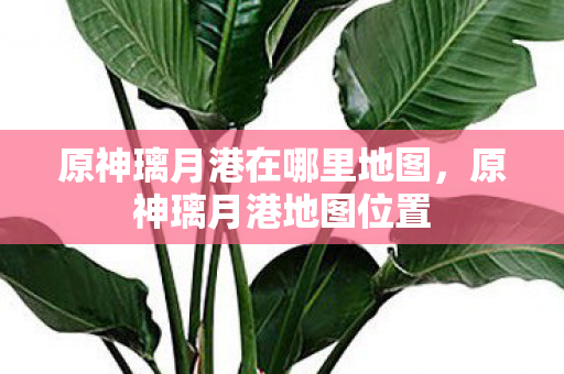 原神璃月港在哪里地图，原神璃月港地图位置