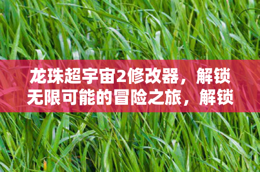 龙珠超宇宙2修改器,解锁无限可能的冒险之旅,解锁无限冒险,龙珠超宇宙2修改器助你畅游游戏世界 龙珠超宇宙2修改器,解锁无限可能的冒险之旅,解锁无限冒险,龙珠超宇宙2修改器助你畅游游戏世界