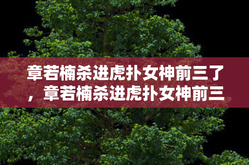 章若楠杀进虎扑女神前三了，章若楠杀进虎扑女神前三，颜值与实力并存