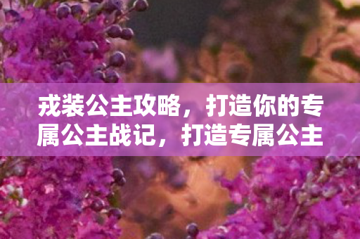 戎装公主攻略，打造你的专属公主战记，打造专属公主战记，戎装公主攻略