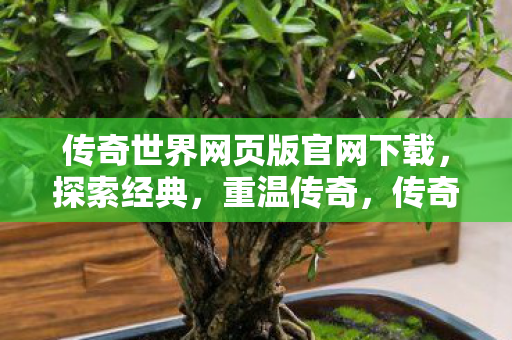 传奇世界网页版官网下载图片