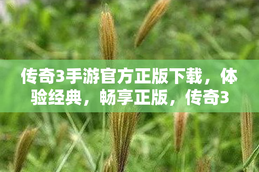 传奇3手游官方正版下载图片