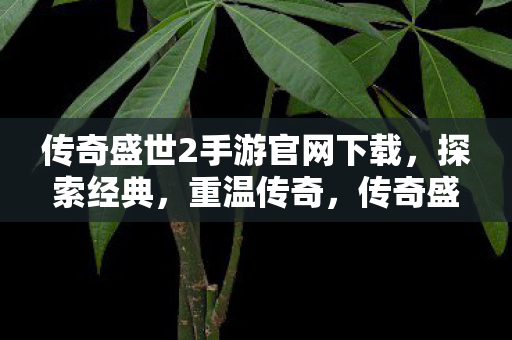 传奇盛世2手游官网下载图片