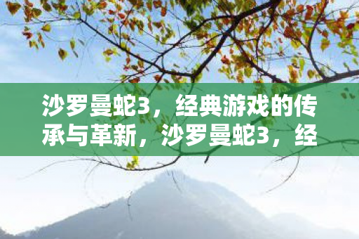 经典游戏的传承与革新图片
