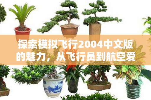 探索模拟飞行2004中文版的魅力图片