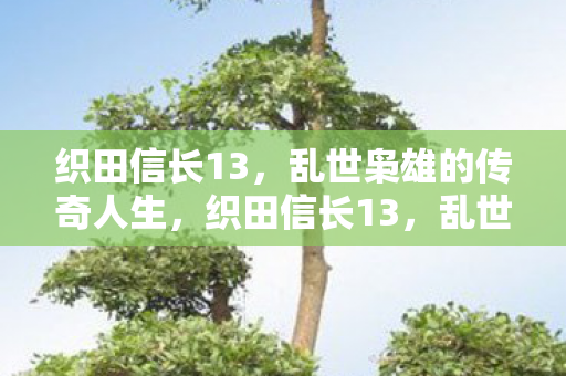 乱世枭雄的传奇人生图片