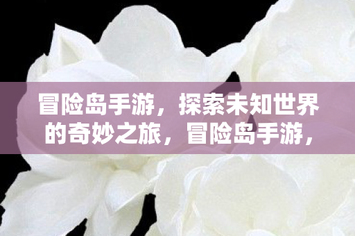 冒险岛手游，探索未知世界的奇妙之旅，冒险岛手游，探索未知世界的奇妙之旅