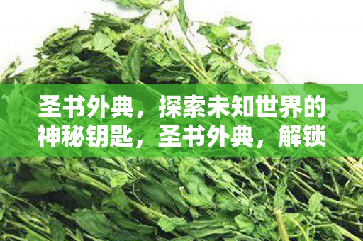 探索未知世界的神秘钥匙图片