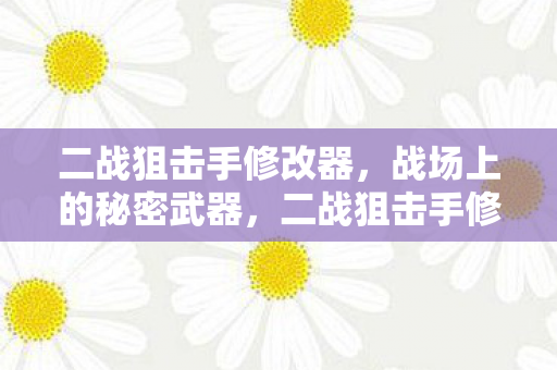二战狙击手修改器图片