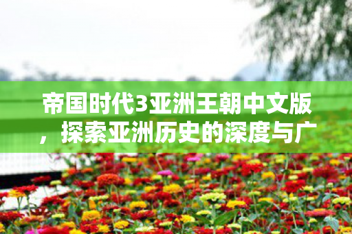 帝国时代3亚洲王朝中文版图片