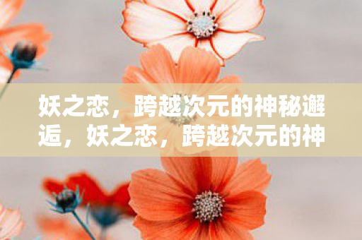 跨越次元的神秘邂逅图片