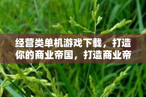 经营类单机游戏下载图片