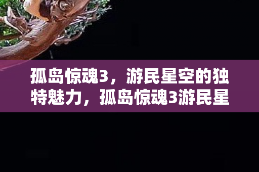 游民星空的独特魅力图片