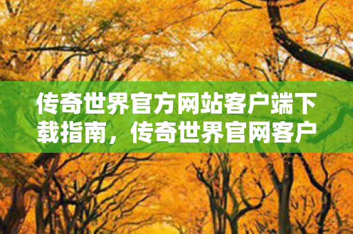传奇世界官方网站客户端下载指南图片