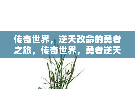 逆天改命的勇者之旅图片