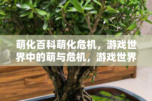 萌化百科萌化危机，游戏世界中的萌与危机，游戏世界中的萌与危机，萌化百科萌化危机