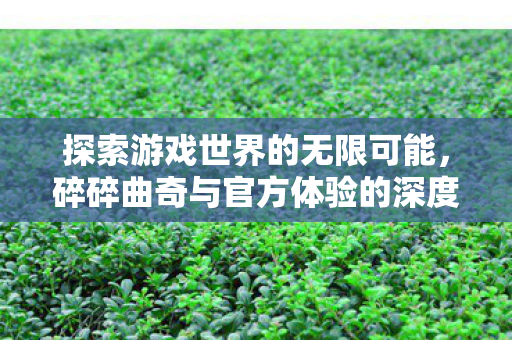 碎碎曲奇与官方体验的深度对比图片