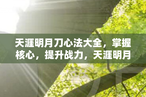 天涯明月刀心法大全图片