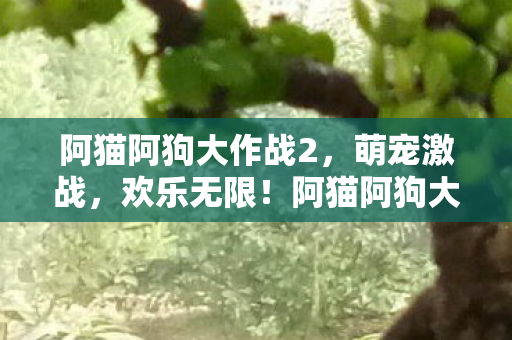 阿猫阿狗大作战2，萌宠激战，欢乐无限！阿猫阿狗大作战2，萌宠激战，欢乐无限！