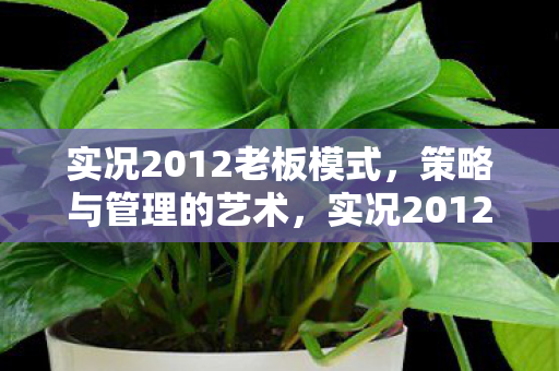 实况2012老板模式图片