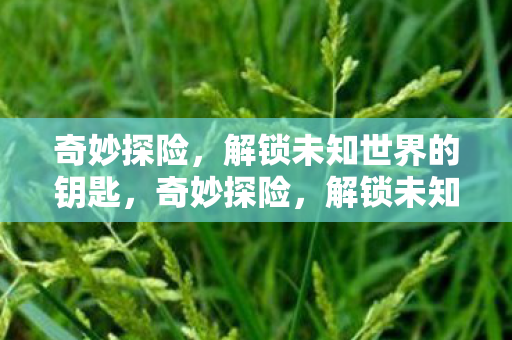 解锁未知世界的钥匙图片