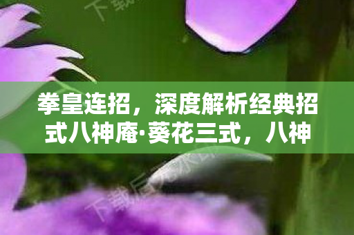 深度解析经典招式八神庵图片