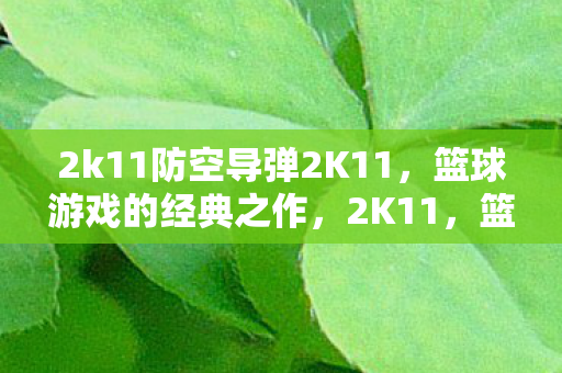 2k11防空导弹2K11图片