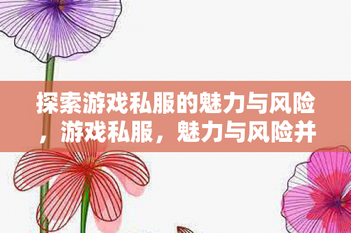 探索游戏私服的魅力与风险图片