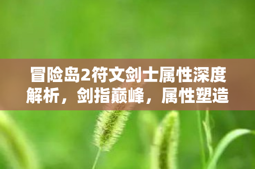 冒险岛2符文剑士属性深度解析图片