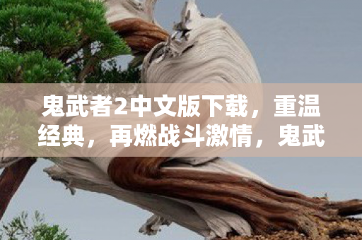 鬼武者2中文版下载图片