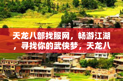 天龙八部找服网图片