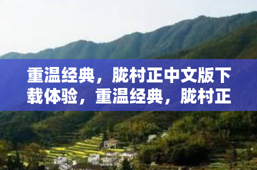 胧村正中文版下载体验图片