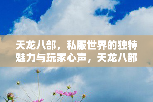 私服世界的独特魅力与玩家心声图片