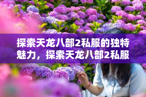 探索天龙八部2私服的独特魅力图片