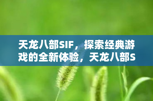 探索经典游戏的全新体验图片