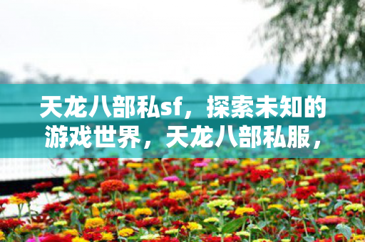 探索未知的游戏世界图片