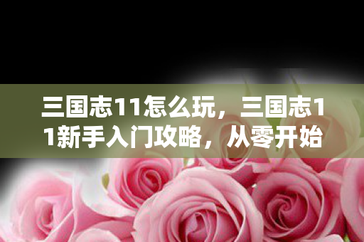 三国志11新手入门攻略图片