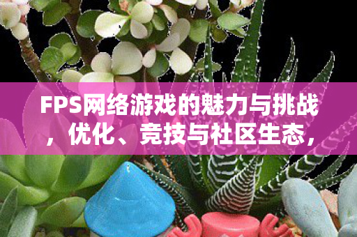 FPS网络游戏的魅力与挑战图片