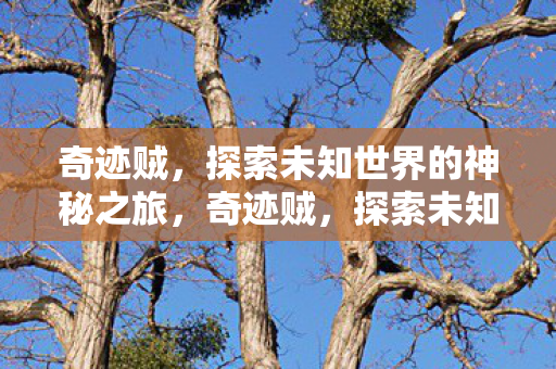 探索未知世界的神秘之旅图片