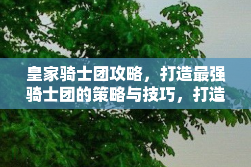 打造最强骑士团的策略与技巧图片