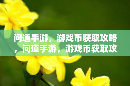 问道手游，游戏币获取攻略，问道手游，游戏币获取攻略