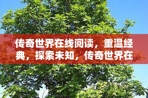 传奇世界在线阅读图片